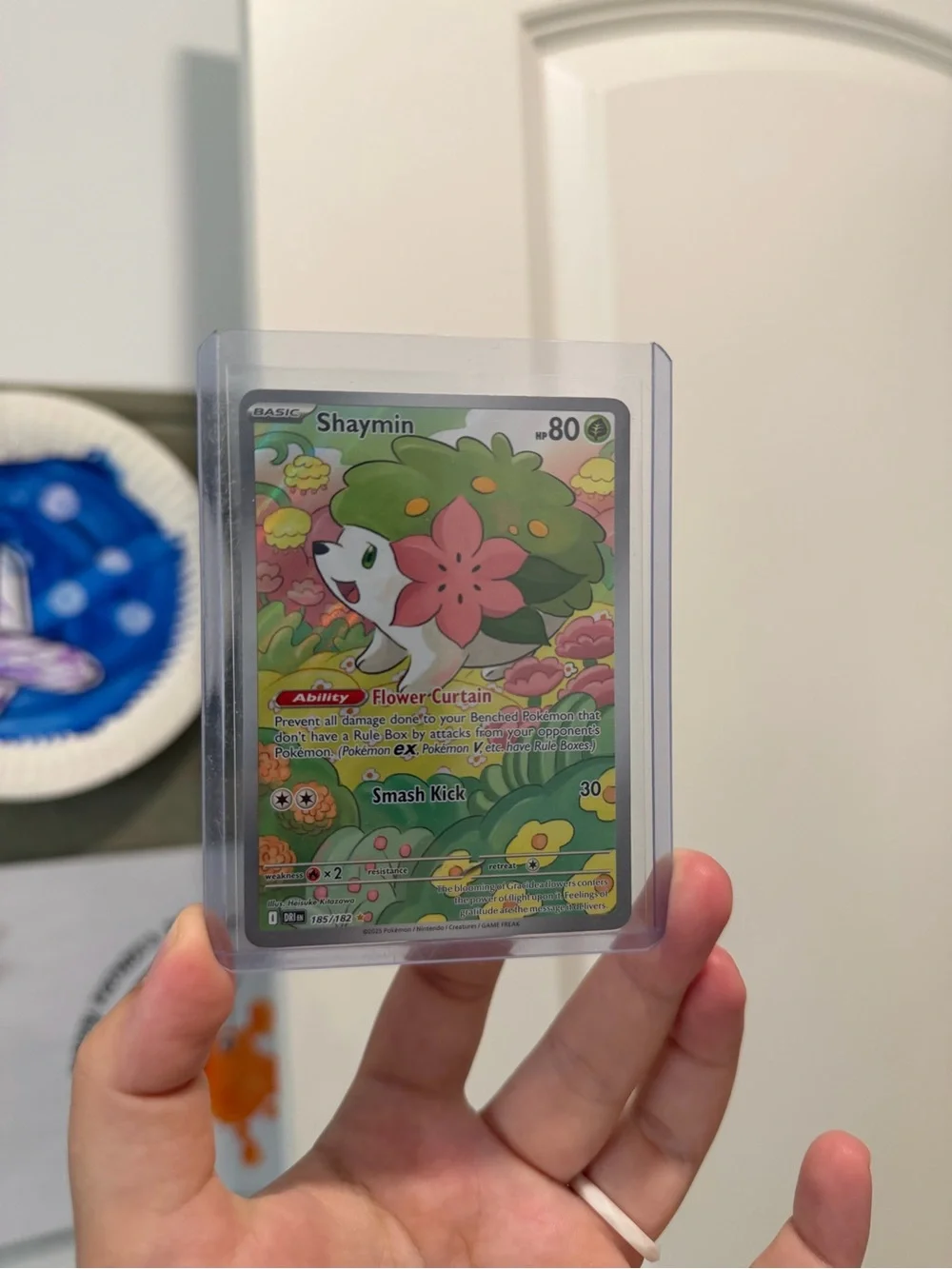 Pokemon pokémon shaymin
